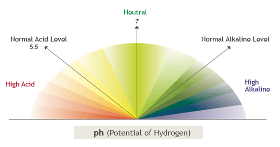 Toner Use: The Import Second Step in Facial Skin Cleansing